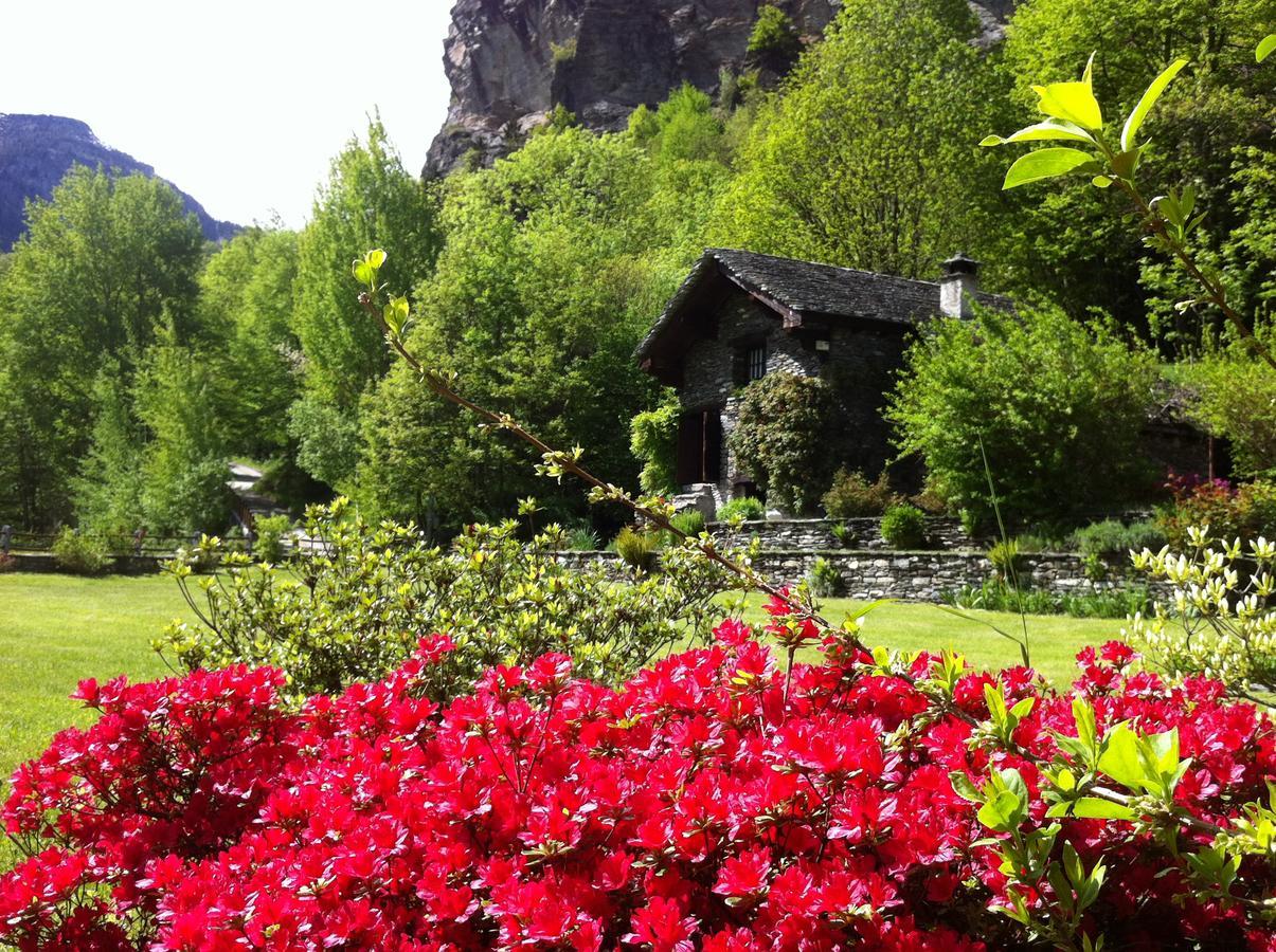 Вилла Chalet La Baita Бачено Экстерьер фото